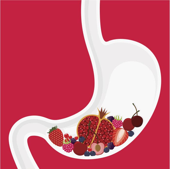 Illustration of fruit and berries in stomach.