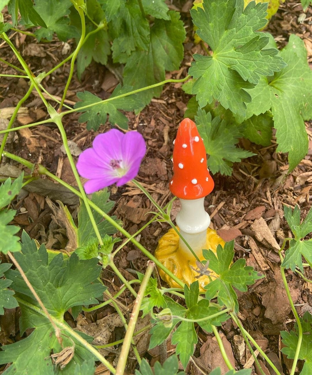 butt plug that looks like red capped mushroom with yellow base 
