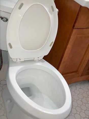 The reviewer's after photo which shows their toilet completely clean