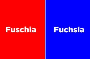 "Fuschia" vs "'Fuchsia"