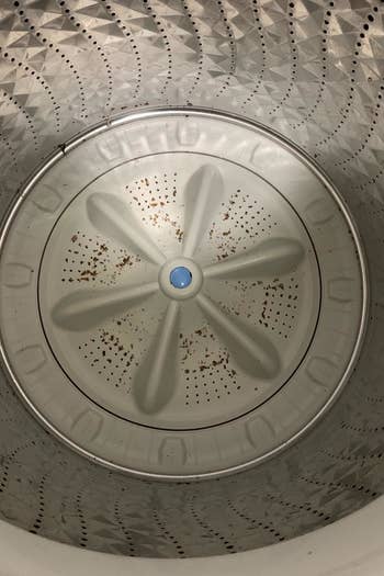 reviewer photo showing inside of their washing machine 