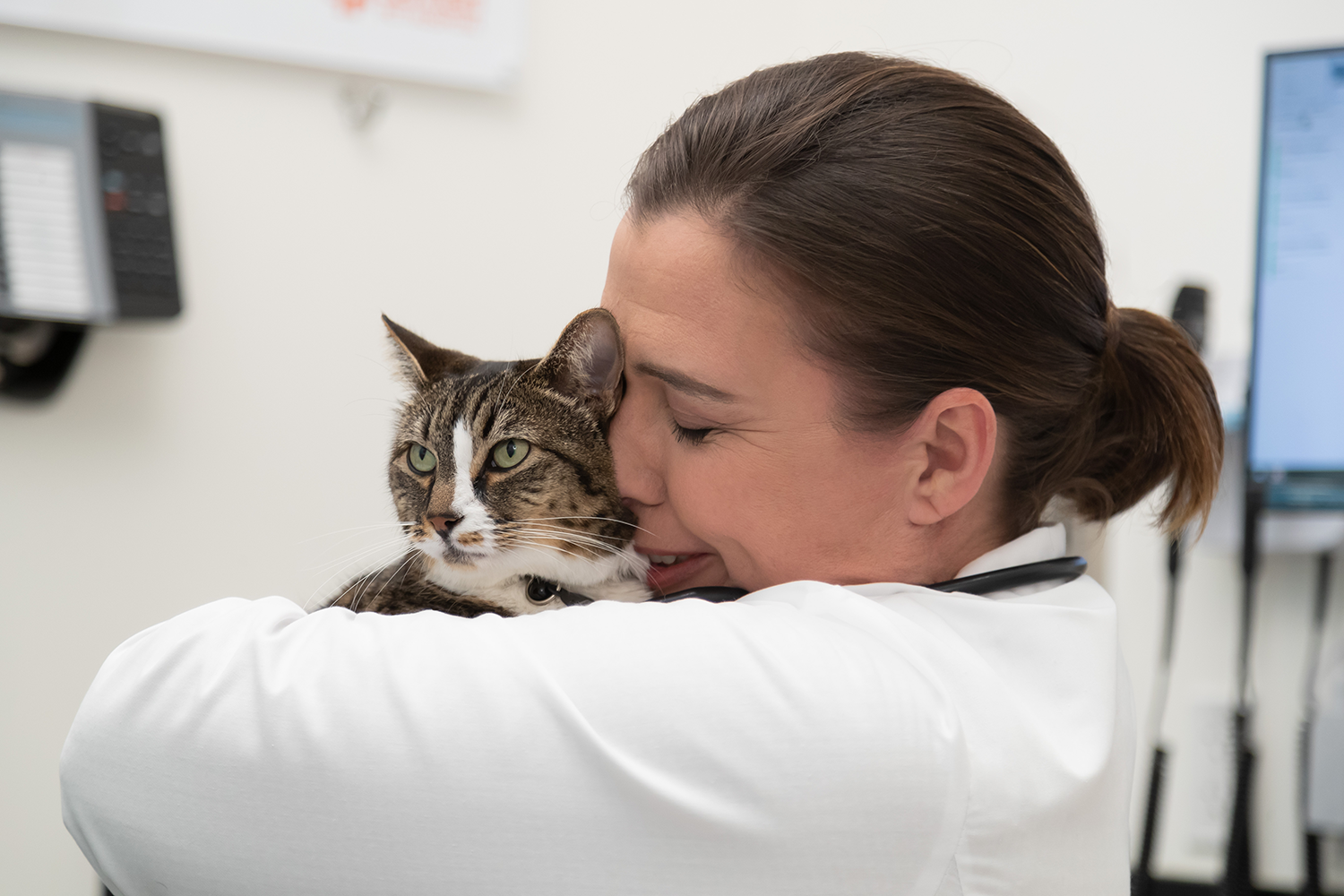 A veterinarian hugging a cat