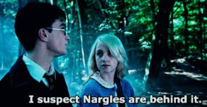 Finish These Iconic Luna Lovegood Harry Potter Quotes Finish These Iconic Luna Lovegood Harry Potter Quotes