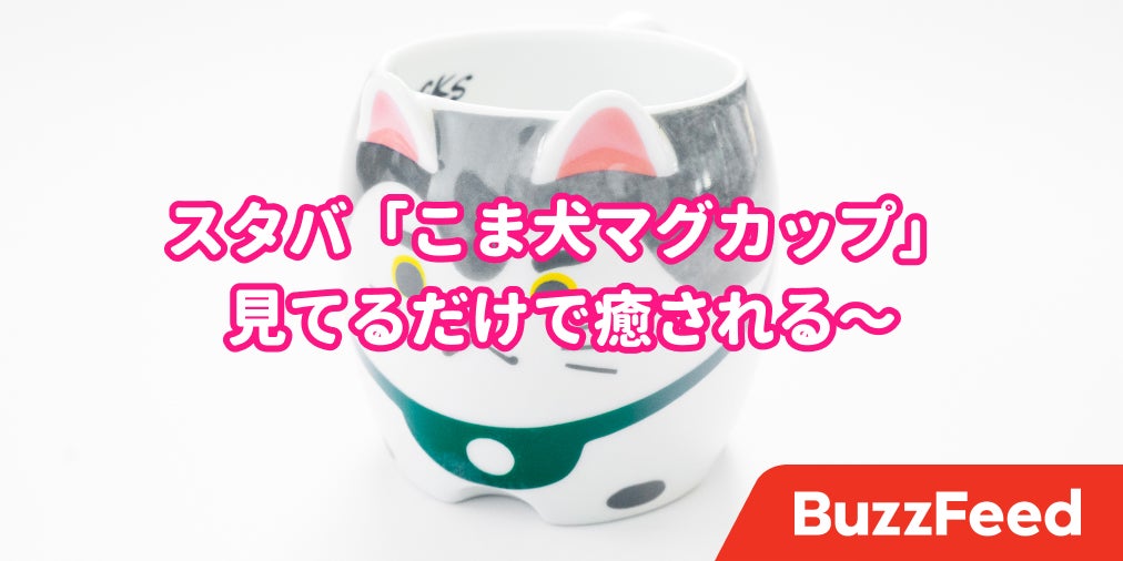 見てるだけで癒される スタバの 限定マグカップ が可愛すぎた 見てるだけで癒される スタバの 限定マグカップ が可愛すぎた