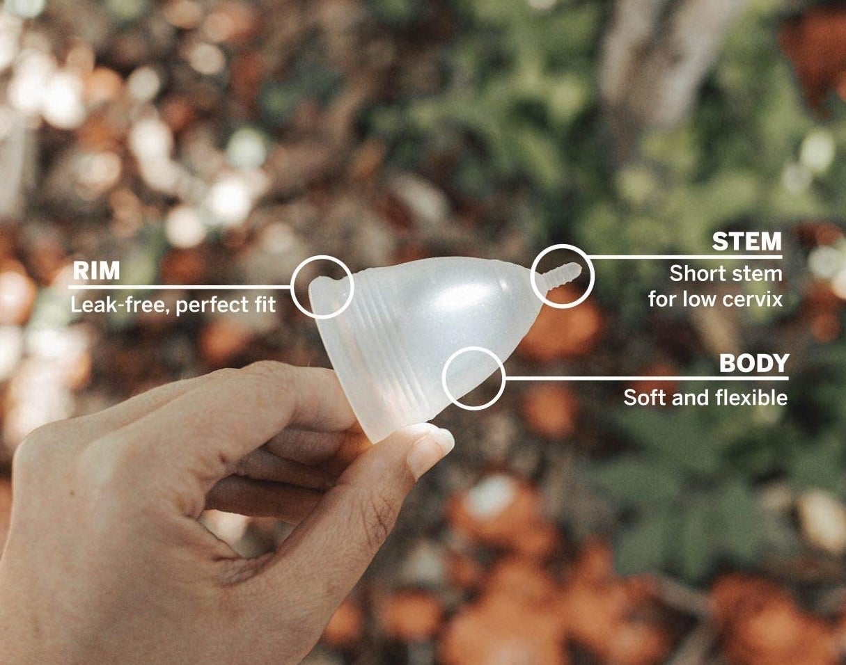 A person holding the menstrual cup with a diagram pointing to the anatomy of the cup, showing its rim, stem and flexible body 