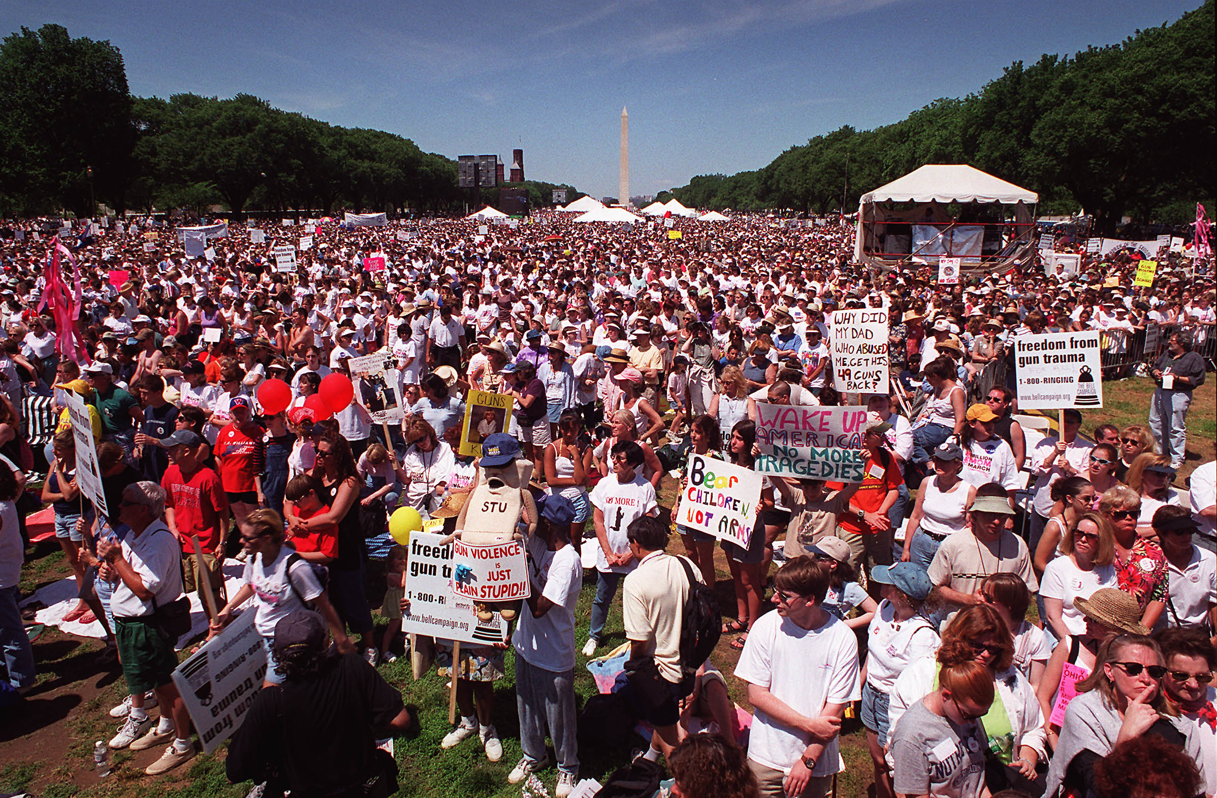 Protestors on the National Mall