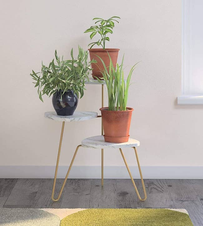 The three-tier plant stand
