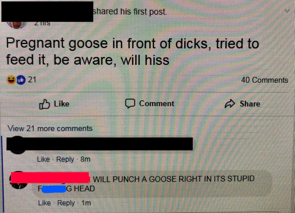 old person saying they will punch a goose in its stupid head