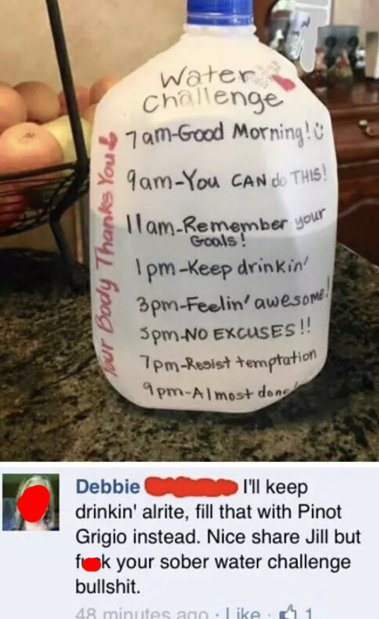 person named debbie commenting on a picture of a water gallon challenge i&#x27;ll keep drinking alrite fill that with pinot grigio instead fuck your sober water challenge bullshit