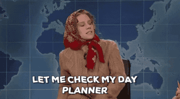 A gif of Kate McKinnon wearing a sweater and a red scarf on their head saying &quot;Let me check my day planner&quot; 