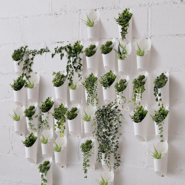 Many sets of three plant holders, filled with plants, and arranged on a wall