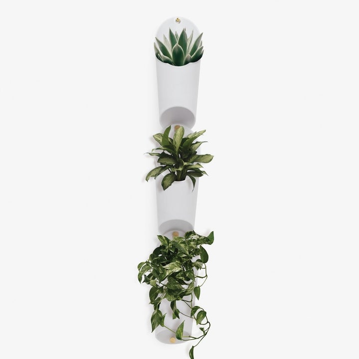 The set of three plant holders, filled with plants, and arranged straight up and down on a wall