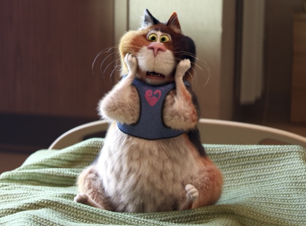 soul cat stuffed animal