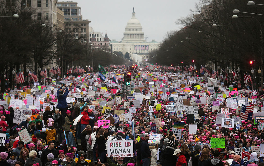 A plethora of protestors in the road in front of the Capitol