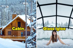 Cabin and glass igloo