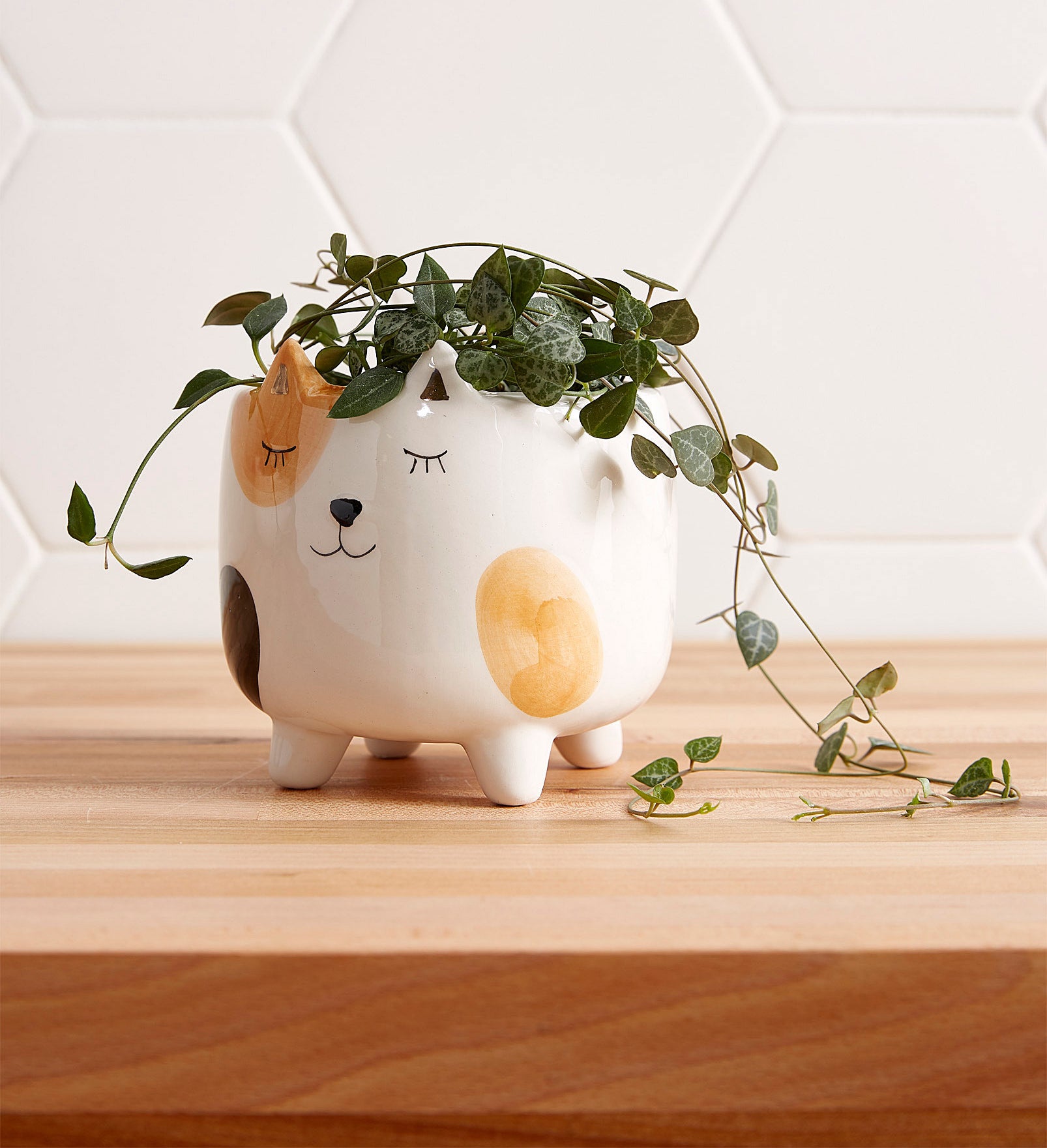 A super-cute cat-shaped plant pot 