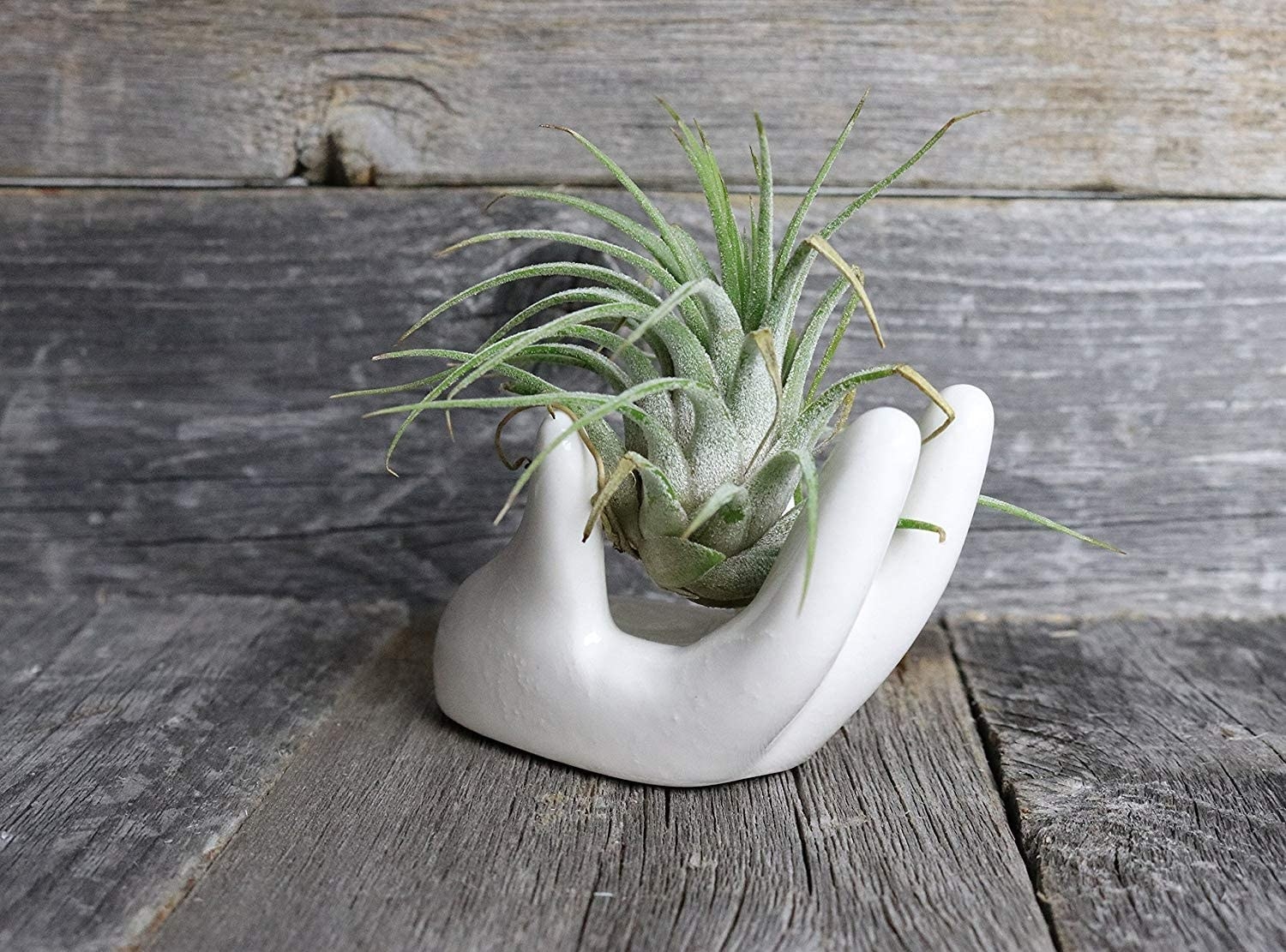 A hand-shaped ceramic statue with an air plant in it
