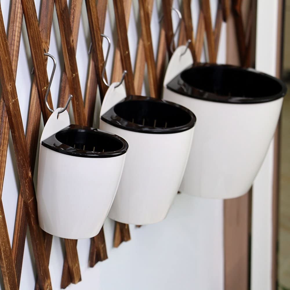 Pots hanging off of a trellis on a wall 