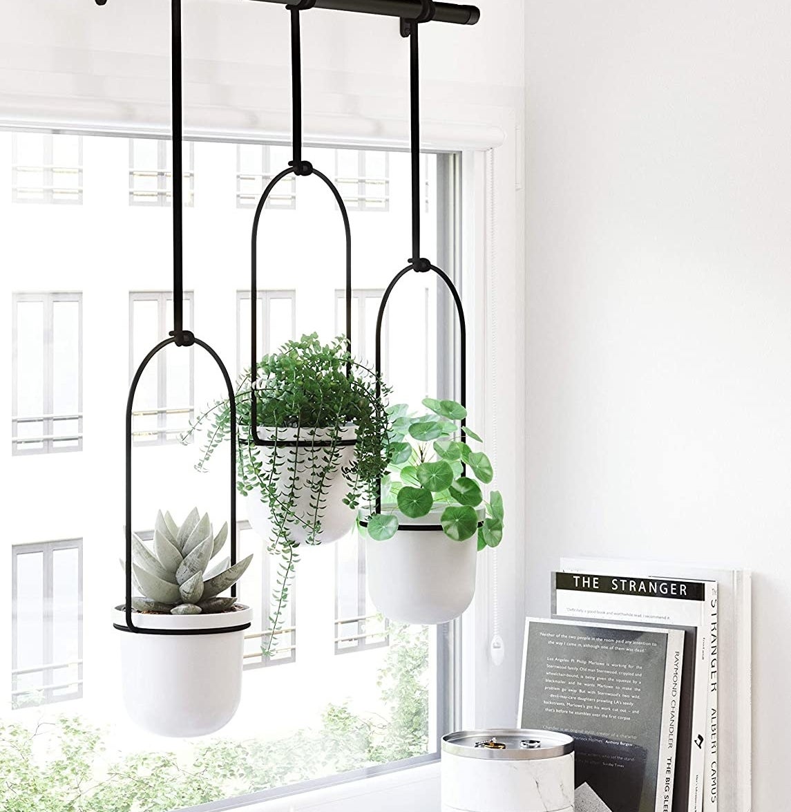 A metal hanging contraption with three plants hanging off of it 