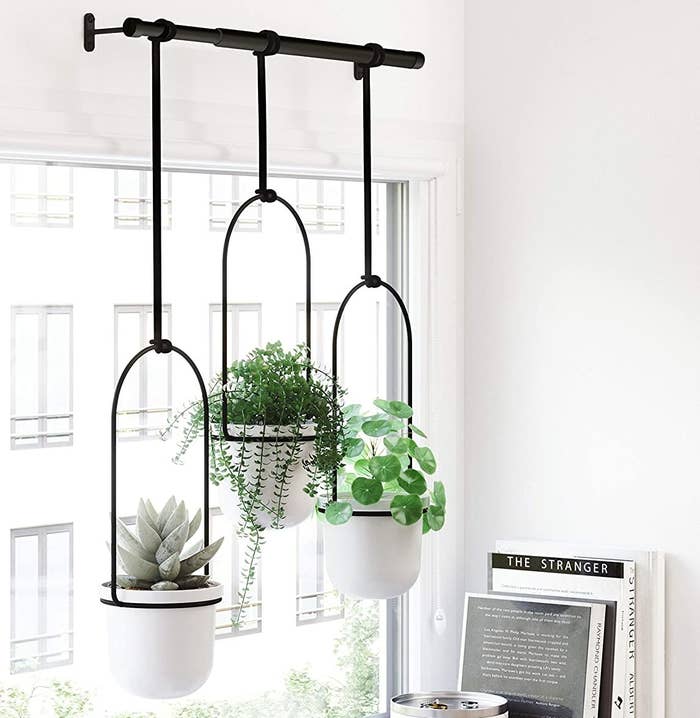 A metal hanging contraption with three plants hanging off of it
