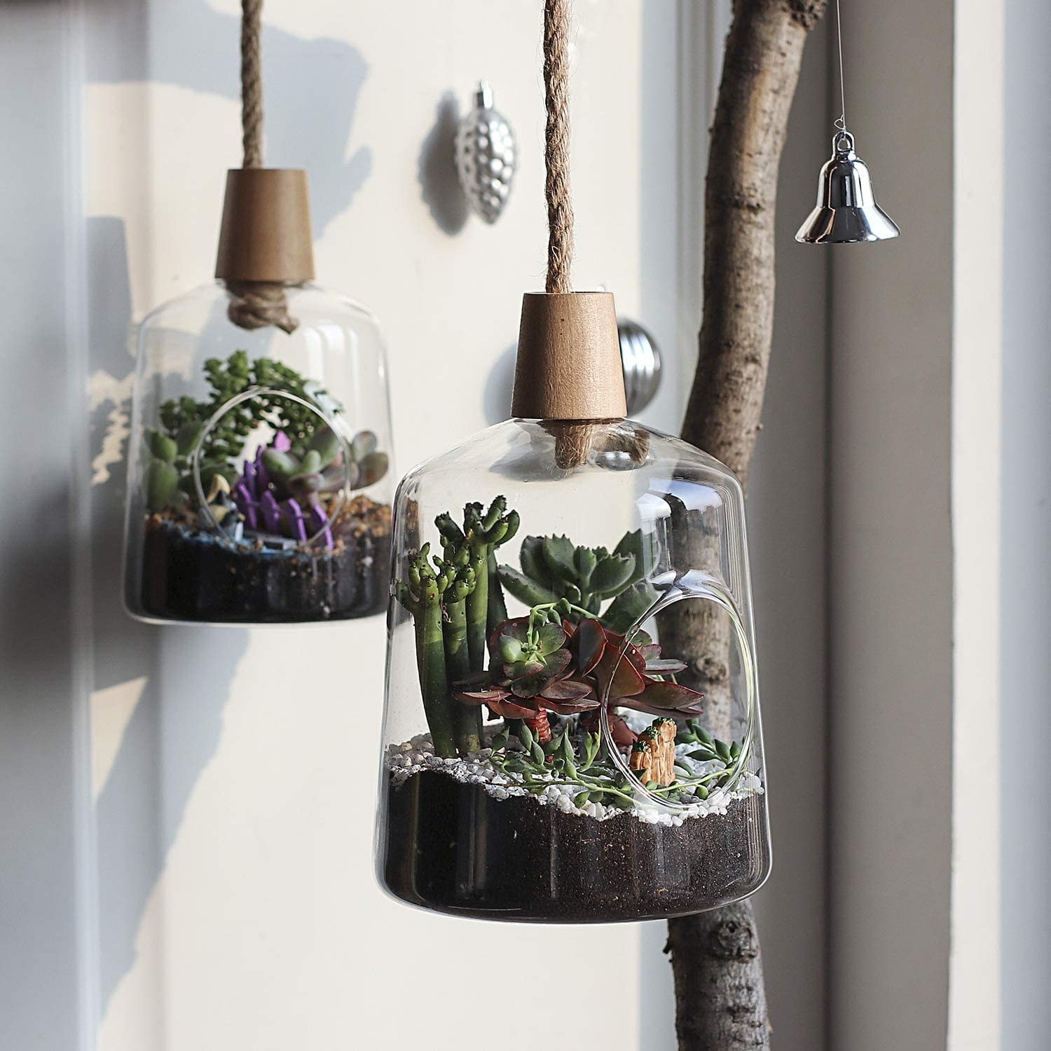 A pair of hanging terrariums with succulents in each 
