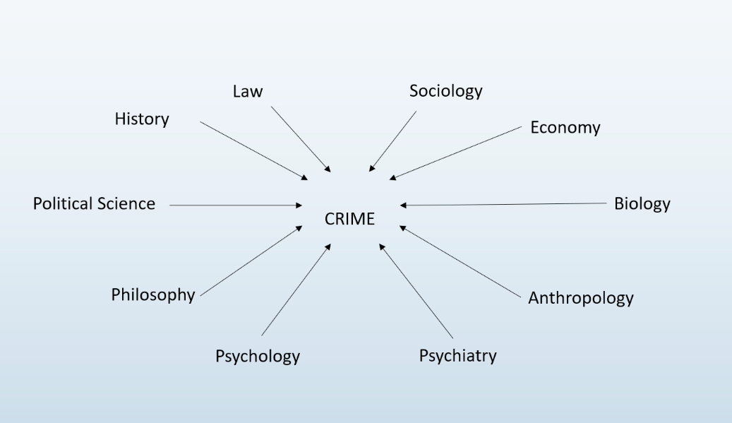 A chart showing links from crime to different disciplines