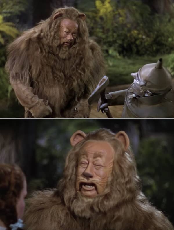 Close-ups of the Cowardly Lion's hair