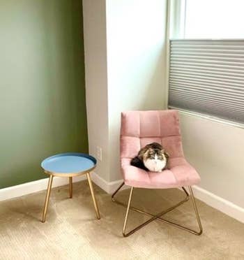 Reviewer's image of cat sitting on pink accent chair