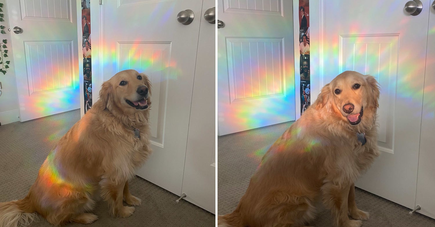 спрайт арбуз огурец. питер кавински. 16 really. ной сентинел питер кавински. ной сентинео.