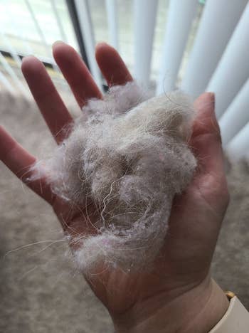 a reviewer photo with someone holding a clump of hair collected from the pet hair remover