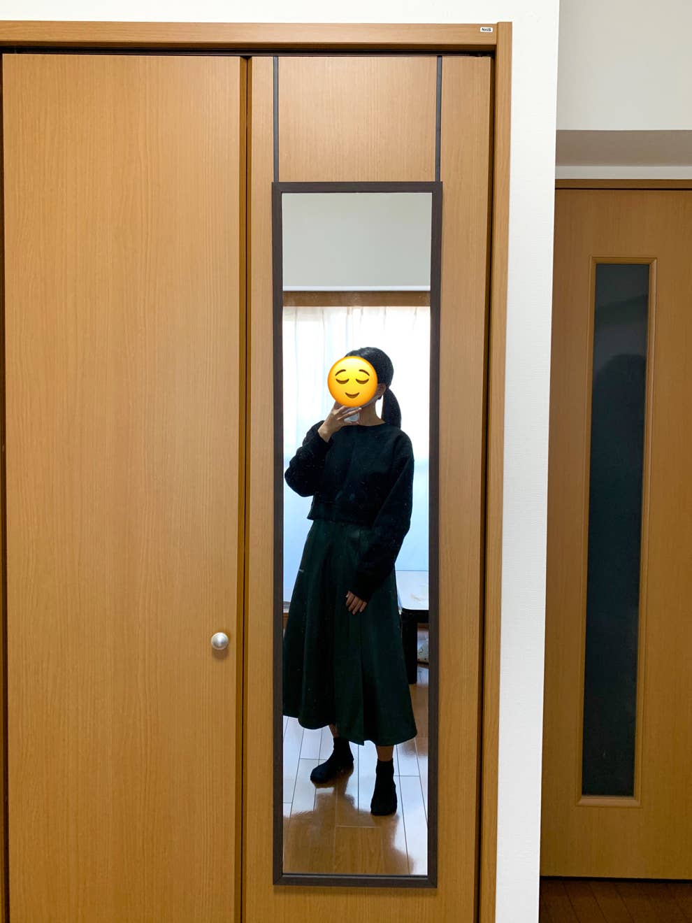 また便利なもの作ったな ニトリの ドア掛けミラー は省スペースだから 狭い部屋にもオススメ また便利なもの作ったな ニトリの ドア掛けミラー は省スペースだから 狭い部屋にもオススメ