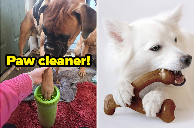 You'll Probably Find Something You Need For Your Pet In This Post