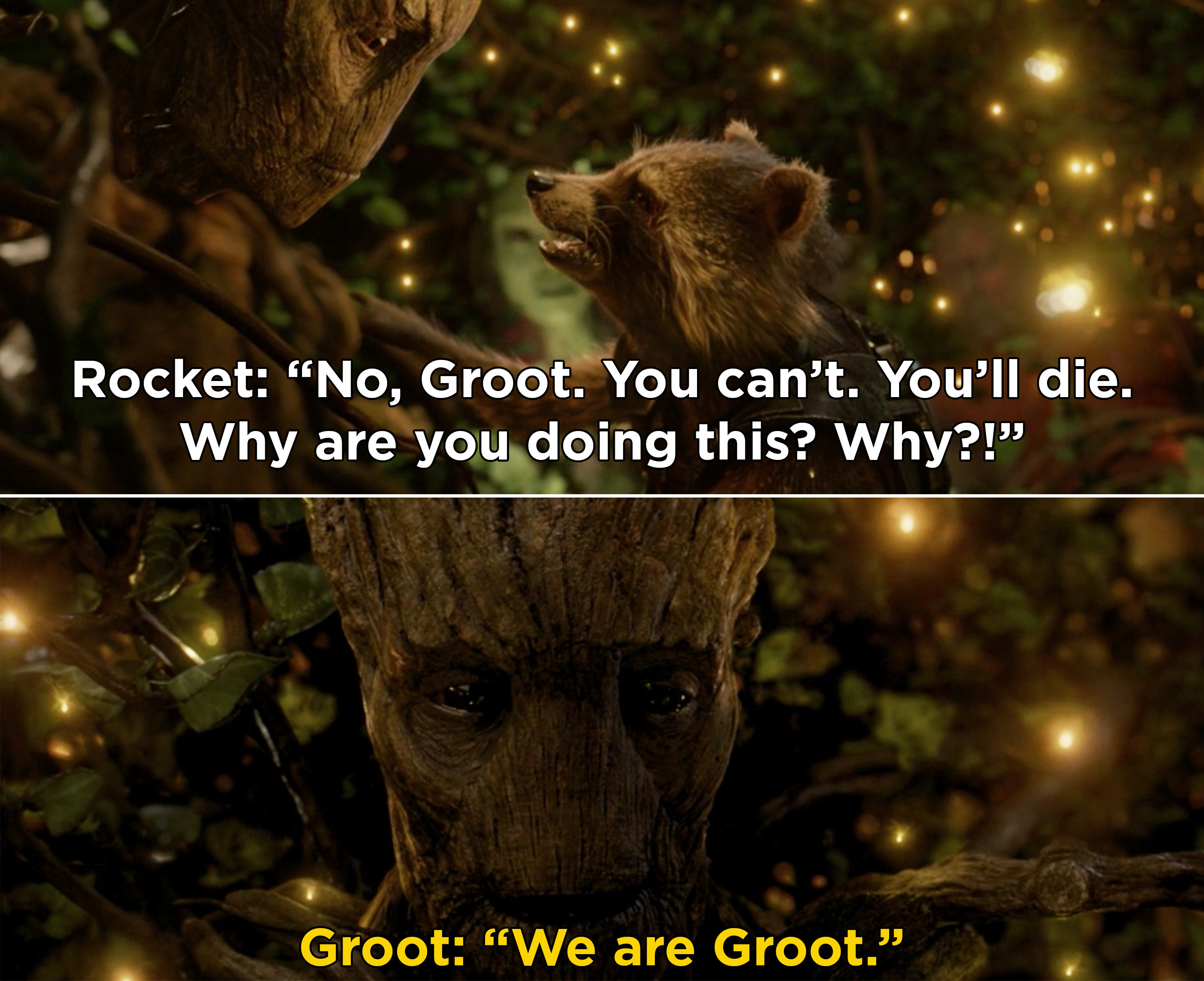 Rocket pleading with Groot not to do this because he&#x27;ll die, and Groot saying, &quot;We are Groot&quot;