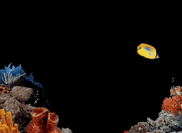 GIF of computer animated fish