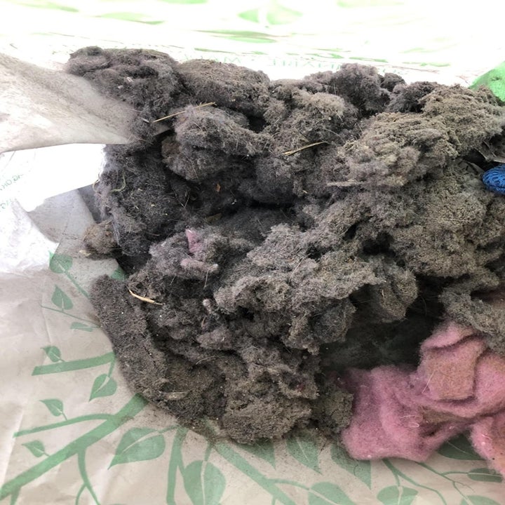 old lint that was removed from the trap