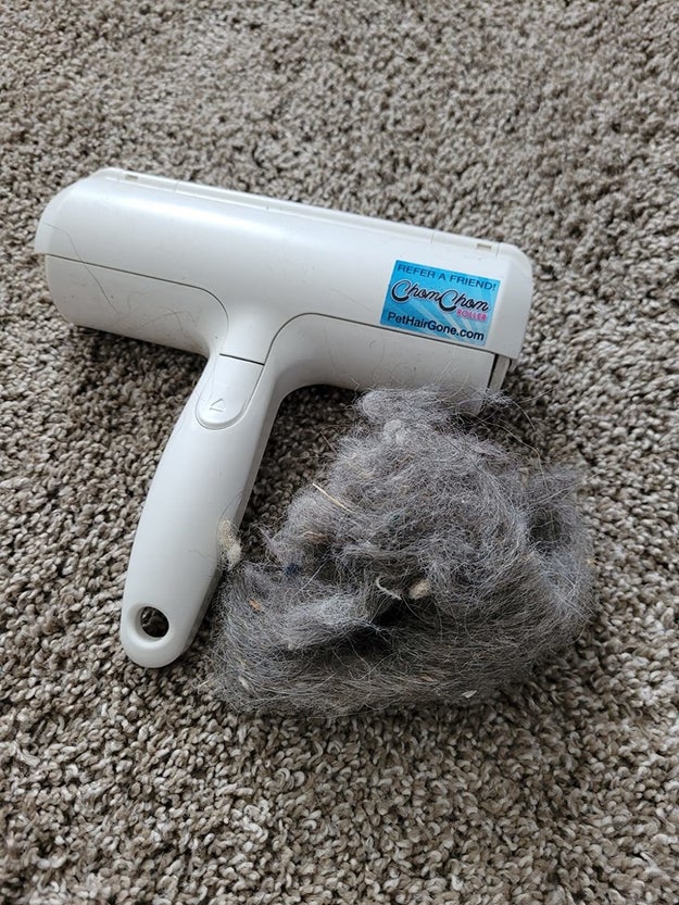 24 Products To Clean Pet Hair