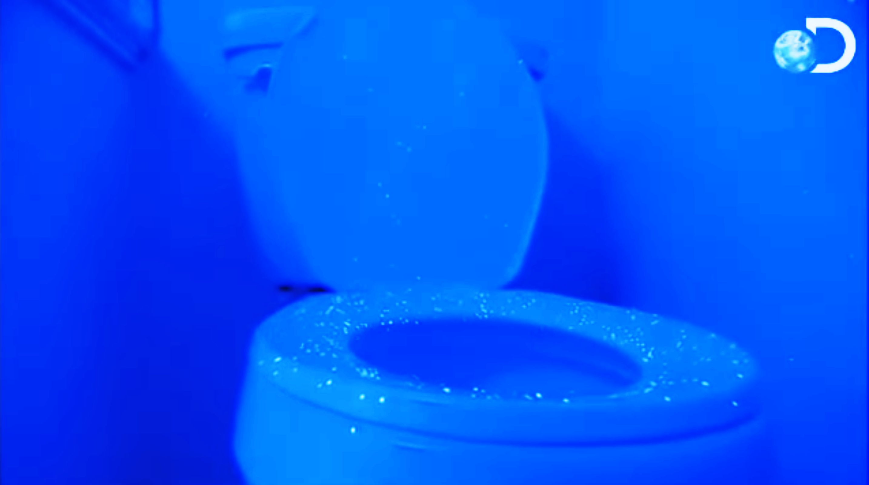 Does it matter if you flush with toilet lid up or down? Not really.