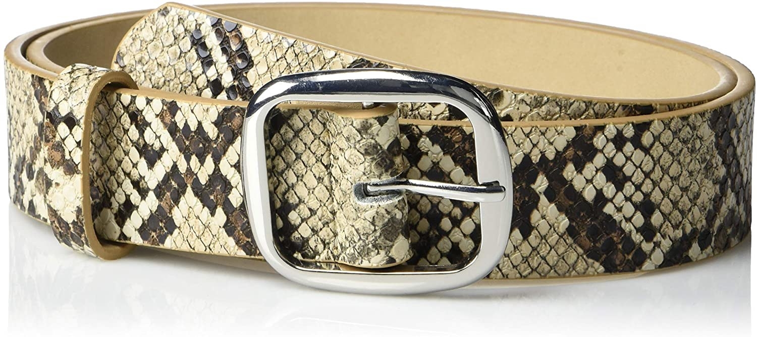 Snakeskin belt with silver buckle