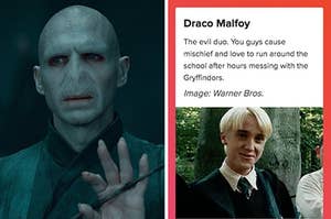 lord voldemort on the left and draco malfoy on the right