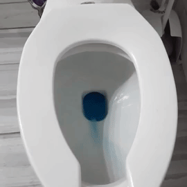 Gif of reviewer's toilet flushing with blue water