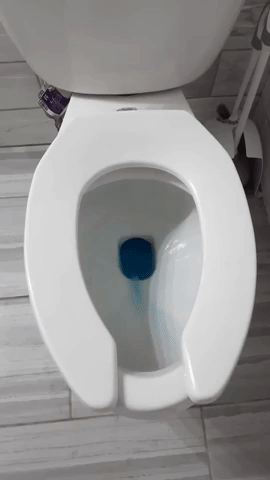 Gif of reviewer's toilet flushing with blue water