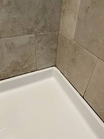 Reviewer's shower corner with mold and mildew stains