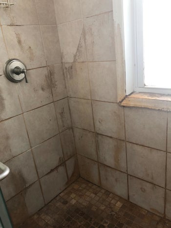 Reviewer photo of dirty shower with mold and mildew stains