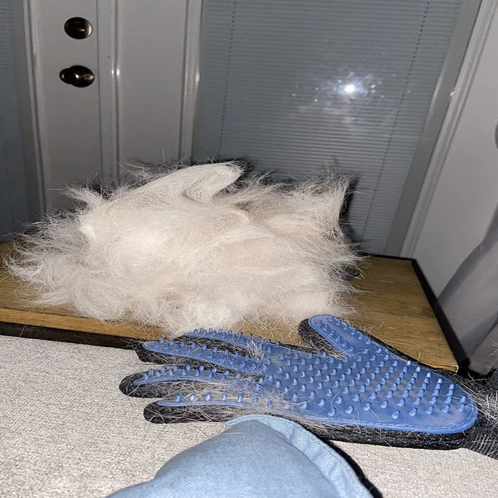 same reviewer showing the large pile of hair that accumulated on the grooming glove
