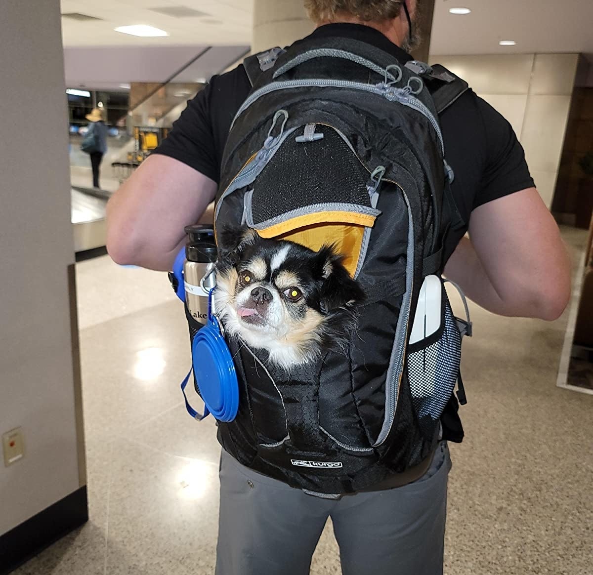 reviewer photo showing their dog&#x27;s face sticking out of the carrier backpack 