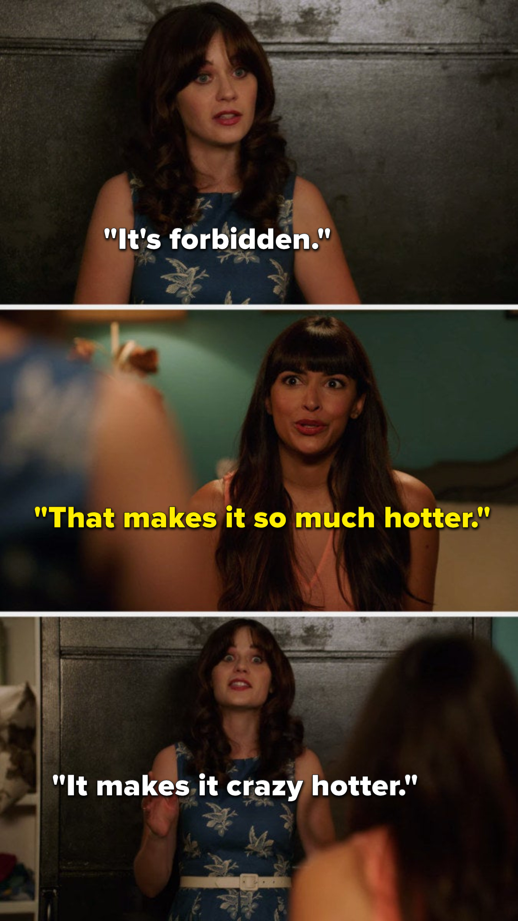 On &quot;New Girl&quot;, Jess says, &quot;It&#x27;s forbidden,&quot; Cece says, &quot;That makes it so much hotter,&quot; and Jess says, &quot;It makes it crazy hotter&quot;