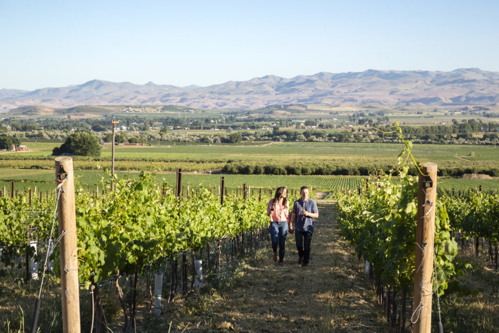 Couple walks through vineyard