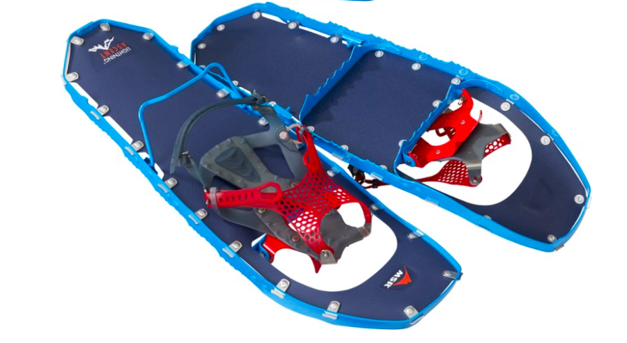 the blue snow shoes