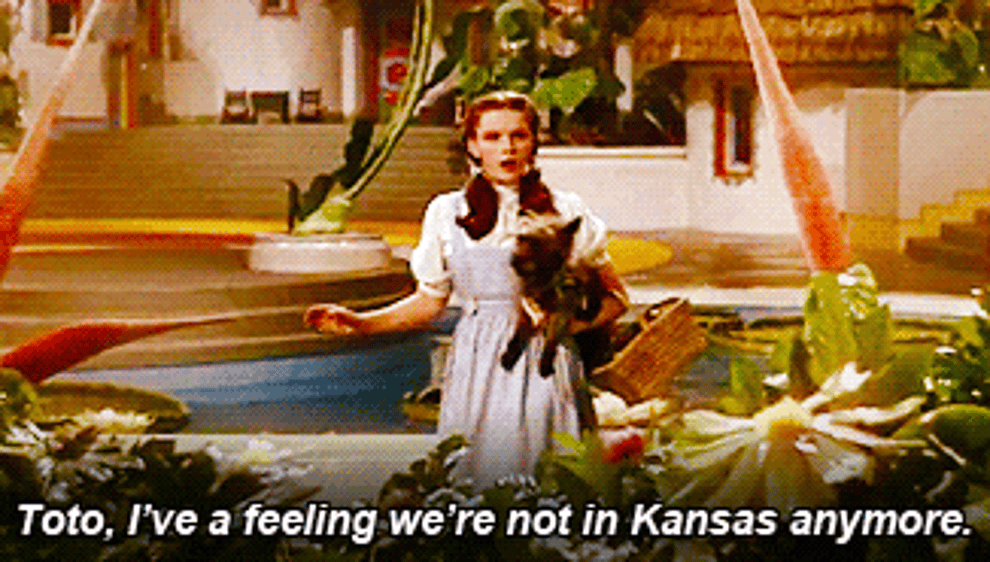 Dorothy says, &quot;Toto, I&#x27;ve a feeling we&#x27;re not in Kansas anymore,&quot; in Wizard of Oz