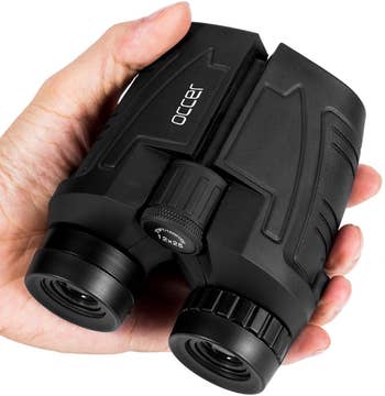 compact pair of binoculars in the palm of a hand